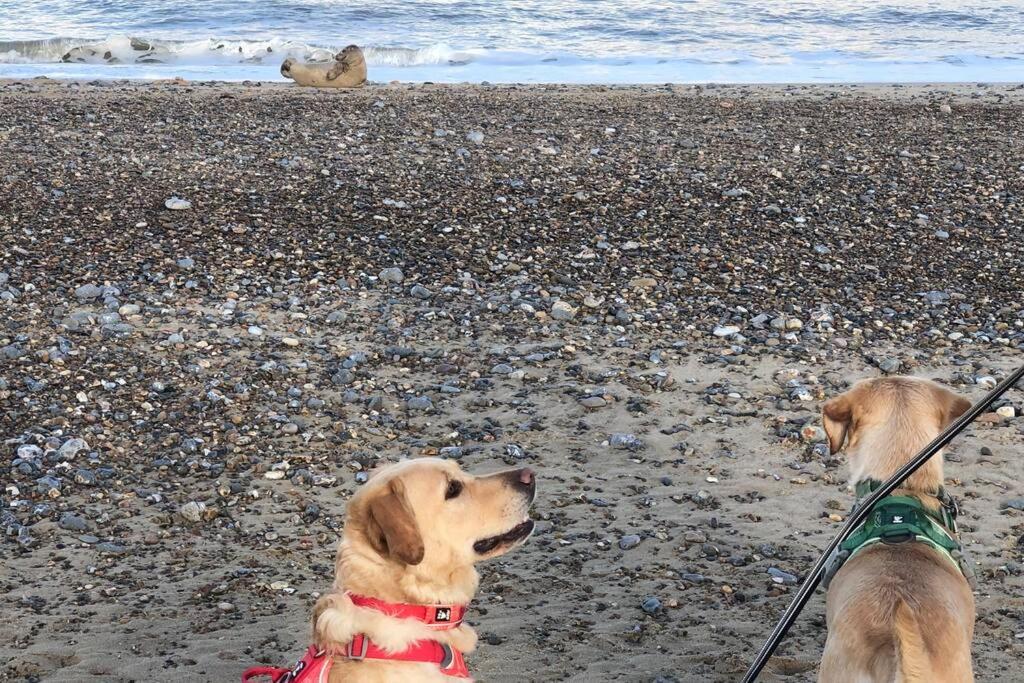 Dog Friendly Cottage 2 Mins To Beach With Hot Tub And Zappi Ev Lessingham Εξωτερικό φωτογραφία