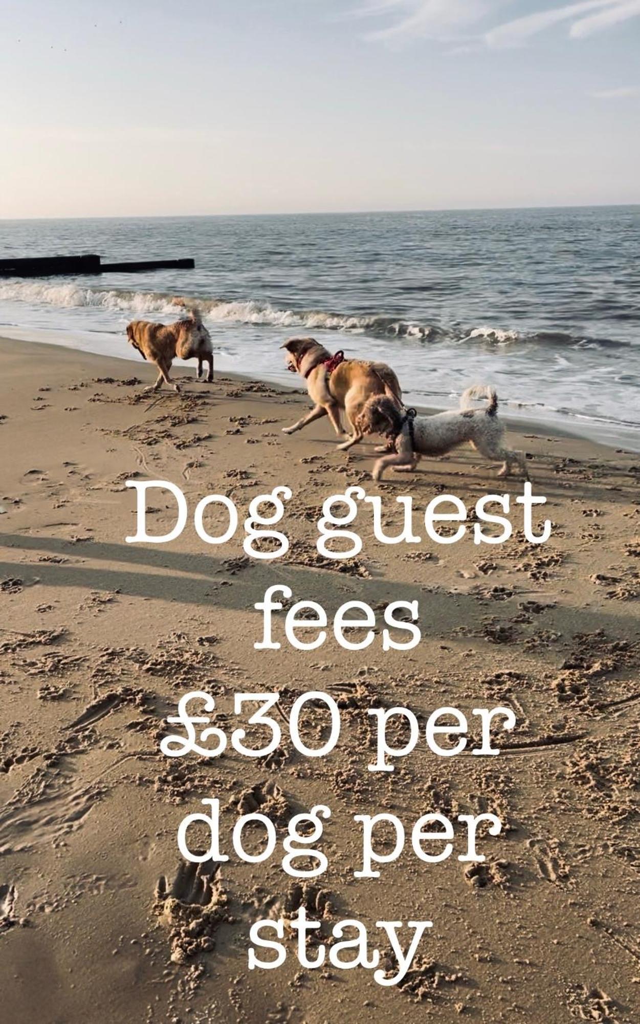 Dog Friendly Cottage 2 Mins To Beach With Hot Tub And Zappi Ev Lessingham Εξωτερικό φωτογραφία